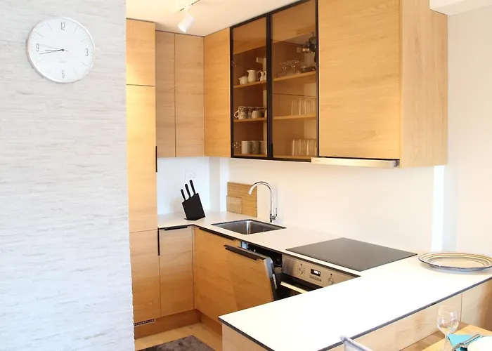 605 Ski-in Location - Mountain View & Garage For 2-4 Guests - Olimpijska Kuca Aparthotel